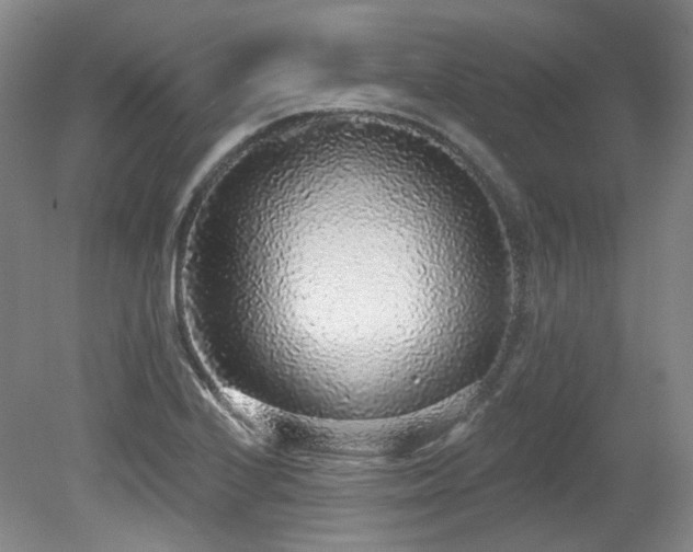 X0000079291224200611171043