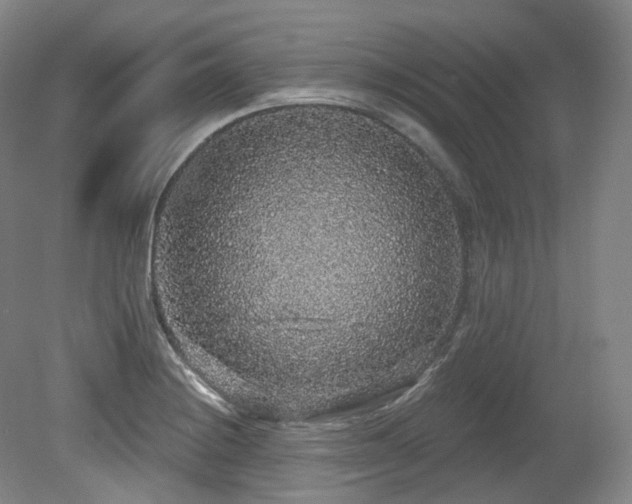 X0000079291228200611171043