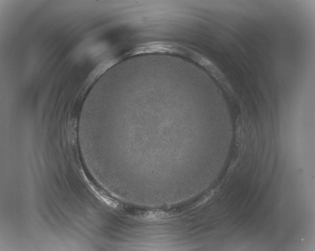 X0000079291233200611171043