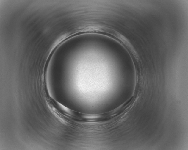 X0000079291234200611171043