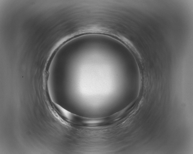 X0000079291238200611171043