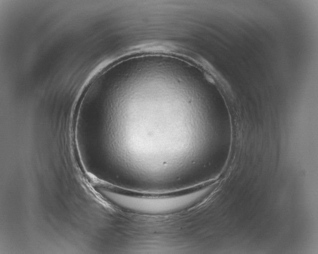 X0000079291240200611171043