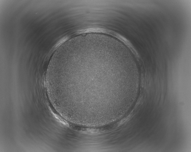 X0000079291241200611171043