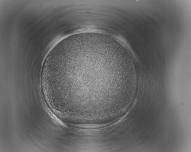 X0000079291244200611171043