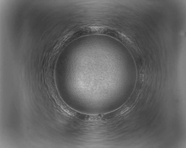 X0000079291249200611171042