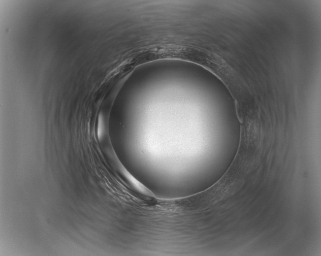 X0000079291250200611171042