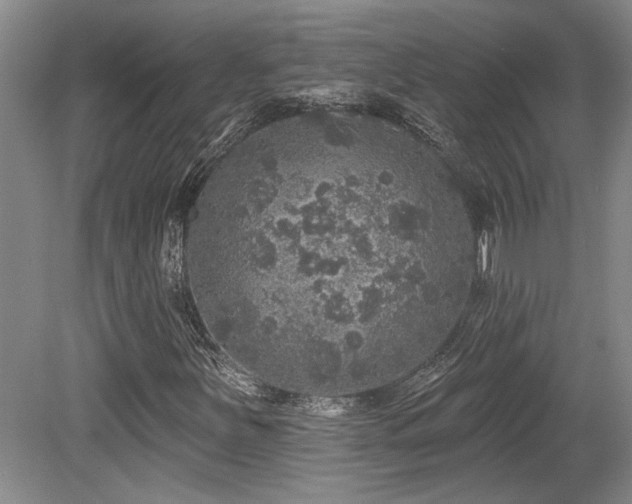 X0000079291251200611171042