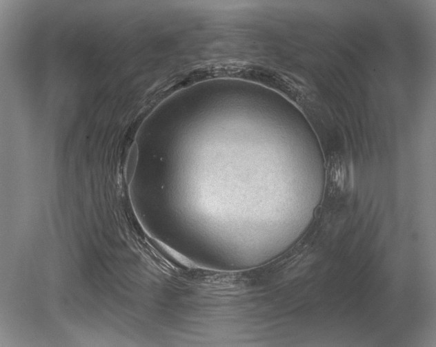 X0000079291252200611171042