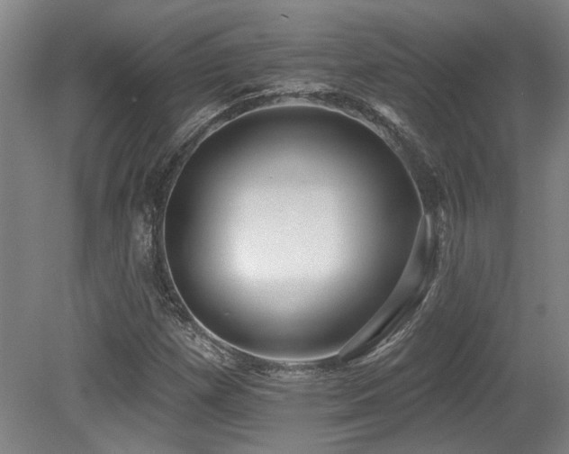 X0000079291257200611171042