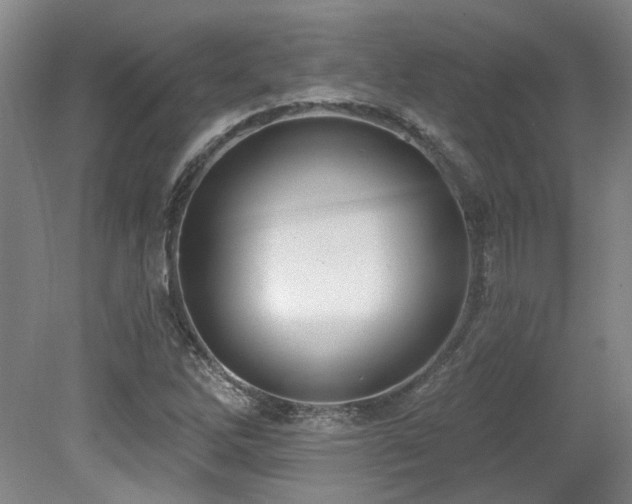 X0000079291262200611171042