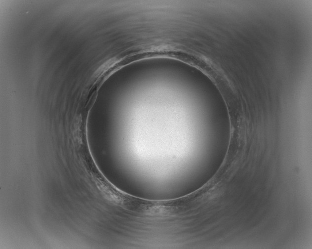 X0000079291265200611171042