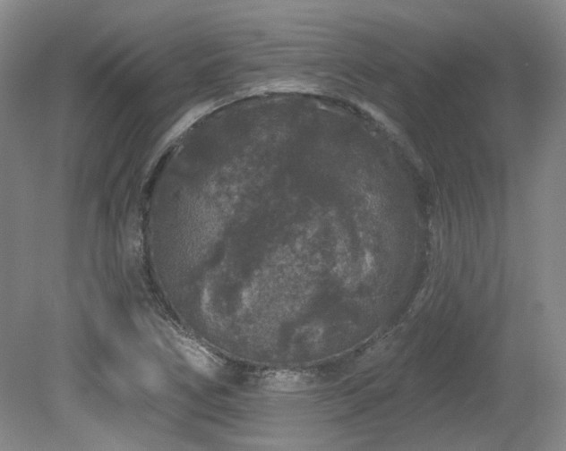 X0000079291266200611171042