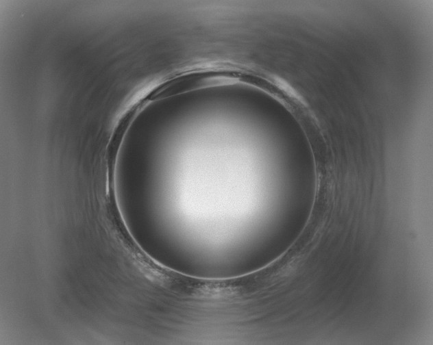 X0000079291269200611171042