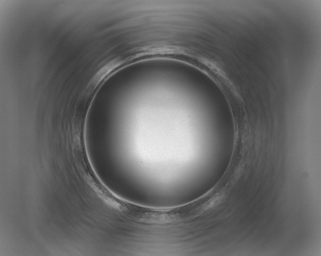 X0000079291273200611171042