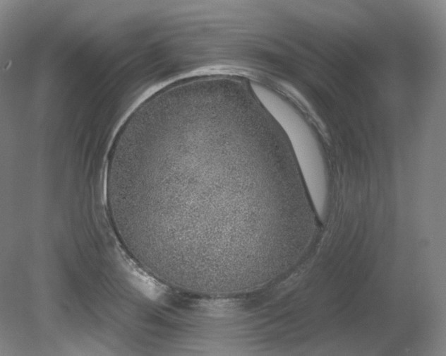 X0000079291276200611171042
