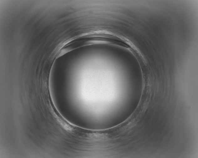 X0000079291281200611171042