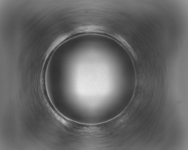 X0000079291285200611171042