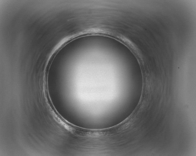 X0000079291286200611171042