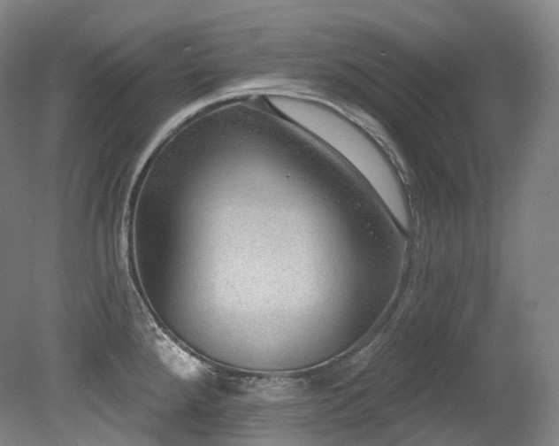 X0000079291288200611171041
