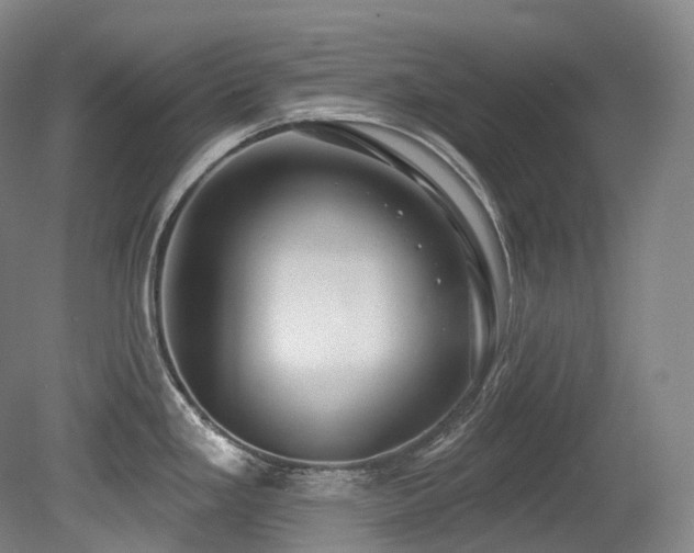 X0000079291293200611171041