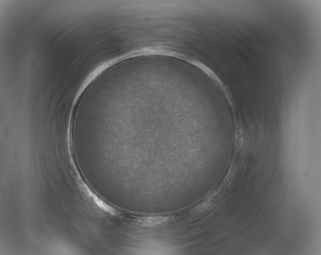 X0000079291294200611171041