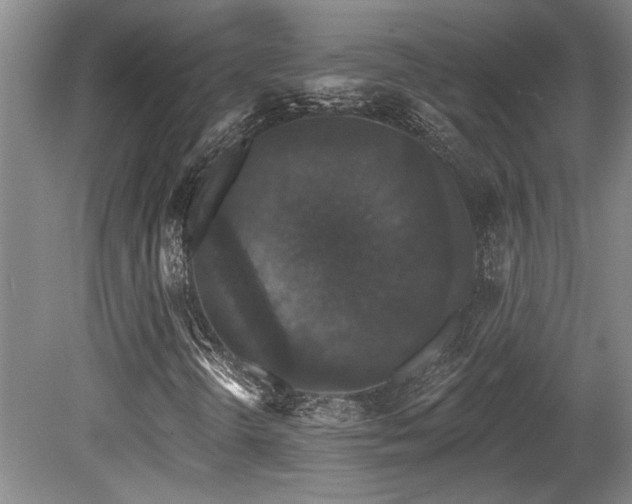 X0000079291298200611171041