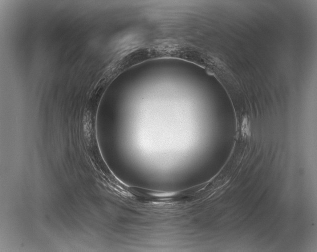 X0000079291299200611171041