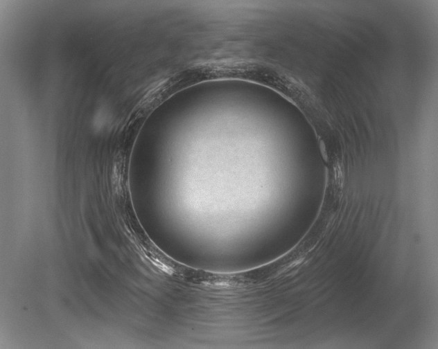 X0000079291300200611171041