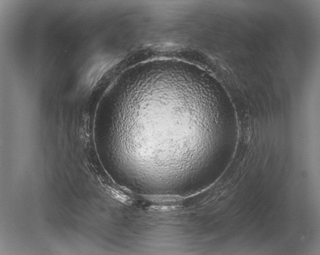 X0000079291301200611171041