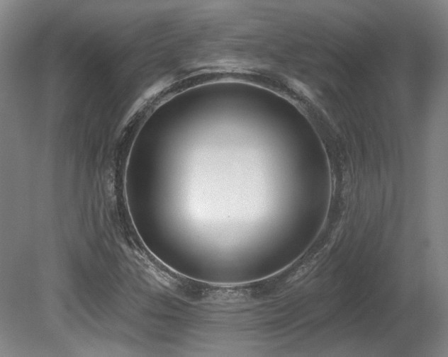 X0000079291307200611171041