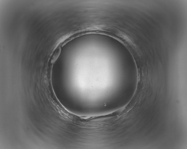 X0000079291308200611171041