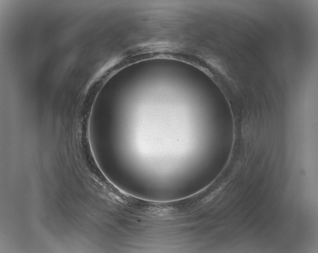 X0000079291309200611171041