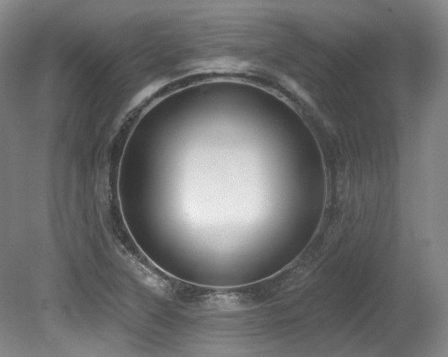 X0000079291315200611171041