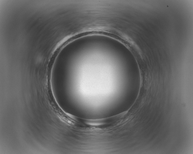 X0000079291316200611171041