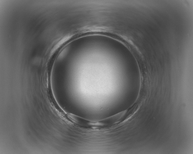 X0000079291317200611171041
