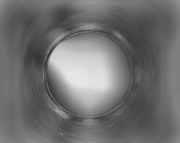 X0000079291322200611171041
