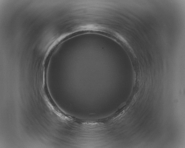 X0000079291323200611171041