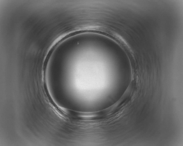 X0000079291324200611171041