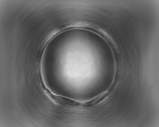 X0000079291329200611171041