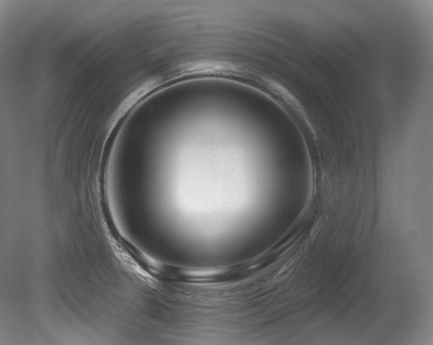 X0000079291330200611171041