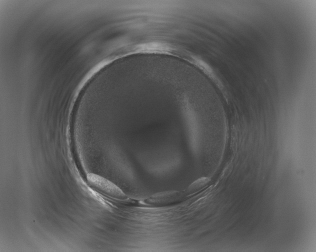 X0000079291331200611171041