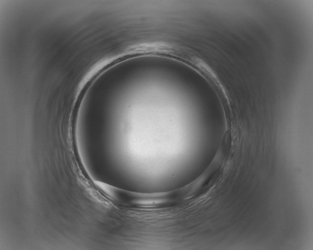 X0000079291336200611171041
