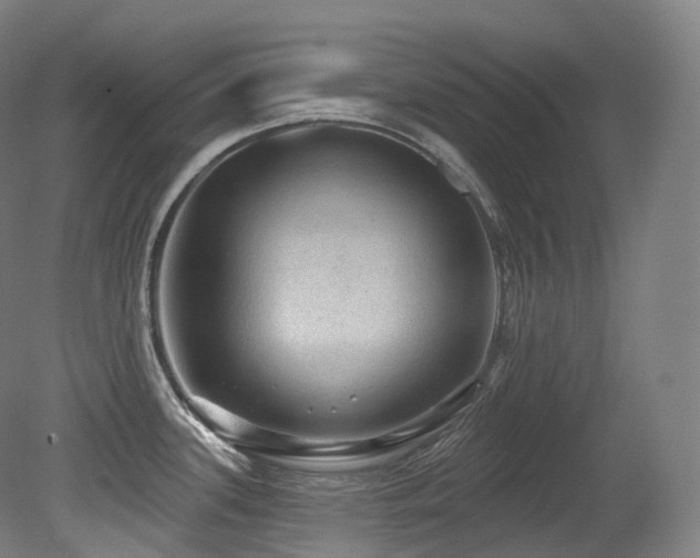 X0000079291339200611171041