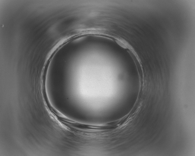 X0000079291341200611171041