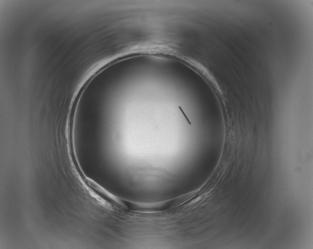 X0000079291343200611171041