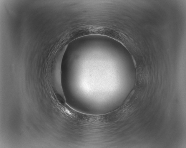 X0000079291345200611171041