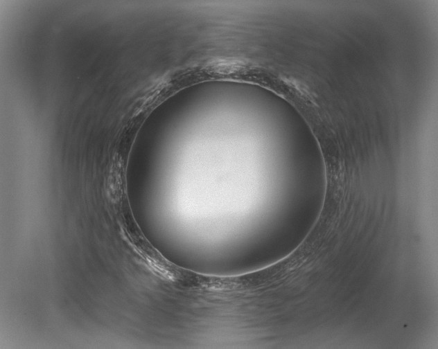 X0000079291349200611171040