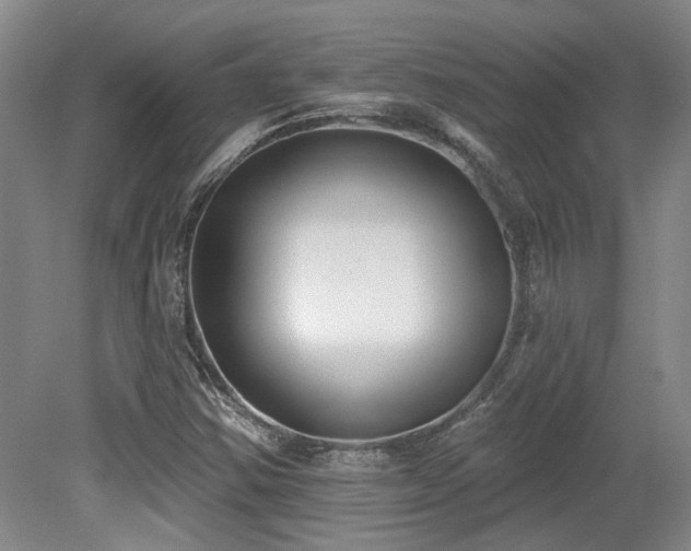 X0000079291354200611171040