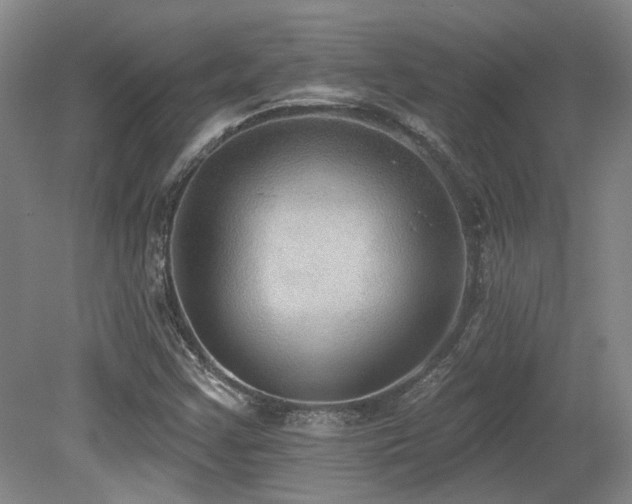 X0000079291355200611171040