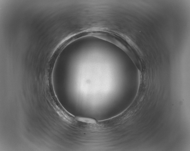 X0000079291356200611171040